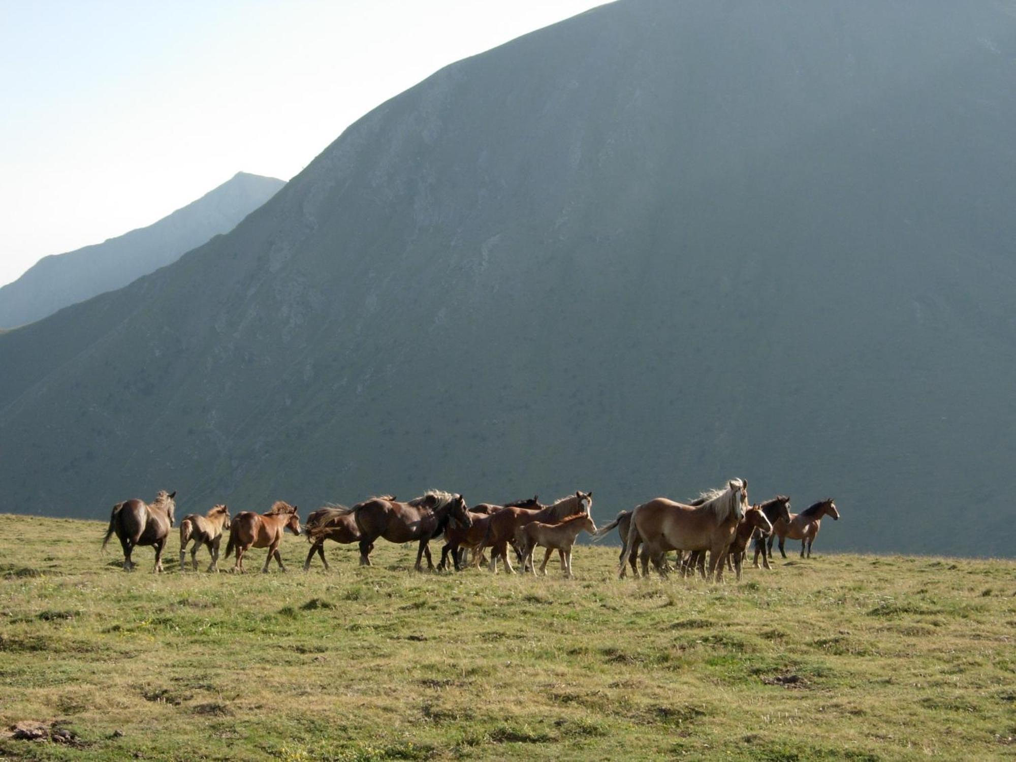 Casa Rural Era De Ferro เอริลญาแวล ภายนอก รูปภาพ