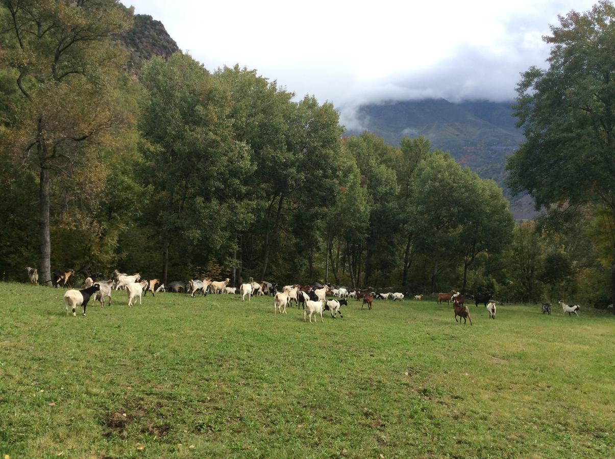 Casa Rural Era De Ferro เอริลญาแวล ภายนอก รูปภาพ